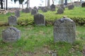 Headstones on Jewish graveyard in OlÃÂ¡any near JindÃâ¢ichuv Hradec